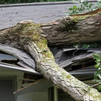 Storm Damage Cleanup 2